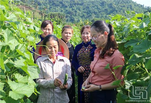 Công nghệ số - 'đòn bẩy' mới cho giảm nghèo bền vững - Kỳ 2: Giải pháp kép