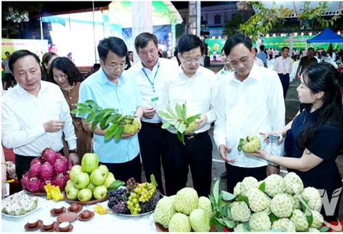 Thái Nguyên có 'vườn na số'