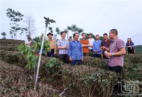 Phát huy vai trò người có uy tín trong cộng đồng