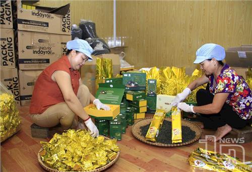 Nhận diện những thủ đoạn lợi dụng thương hiệu 'chè Thái Nguyên' để lừa đảo - Kỳ 1: Muôn kiểu lừa