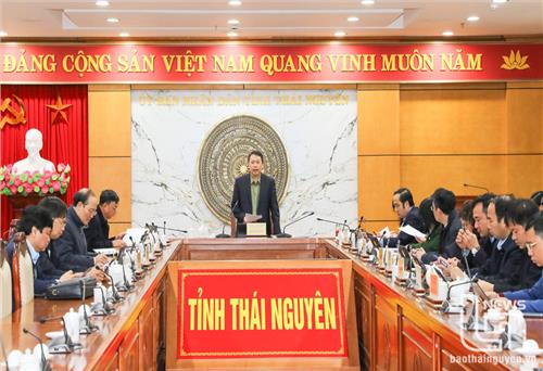 Đảng ủy UBND tỉnh Thái Nguyên: Cho ý kiến vào một số nội dung sắp xếp bộ máy