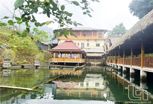 Khai thác tiềm năng nuôi cá nước lạnh