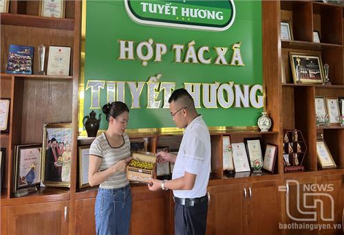 Thúc đẩy phụ nữ khởi nghiệp, đổi mới sáng tạo