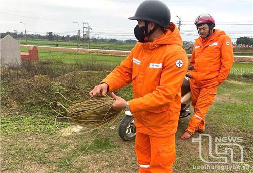 Hiểm họa từ thú chơi thả diều