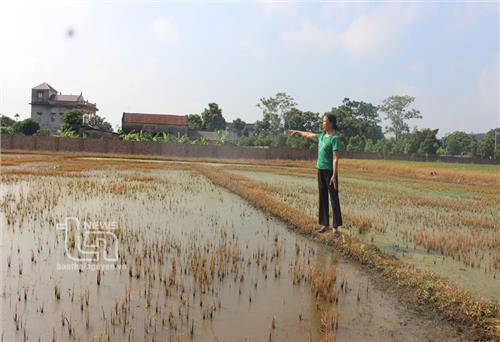 Khoảng 140 người bị thương vong do lũ lụt ở Sudan