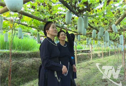 Cấp mã số vùng trồng: 'Chìa khóa' để xuất khẩu nông sản