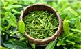 Vùng chè đặc sản Tân Cương Thái Nguyên.