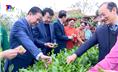 Lãnh đạo Tỉnh và thành phố Thái Nguyên tham gia hái chè khai xuân