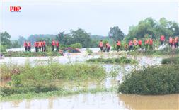 Cơ bản xử lý xong khu vực đê bối sông Cầu bị ảnh hưởng do hoàn lưu bão số 10.